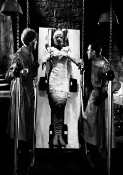 Невеста Франкенштейна (1935) в хорошем качестве смотреть онлайн Невеста Франкенштейна (1935) фильм в хорошем качестве смотреть онлайн