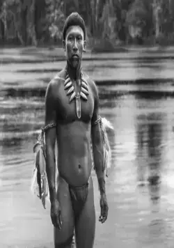 Объятия змея (2014) в хорошем качестве смотреть онлайн Объятия змея (2014) фильм в хорошем качестве смотреть онлайн