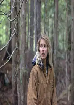 Впадина в земле (2017) смотреть онлайн Впадина в земле (2017) фильм смотреть онлайн