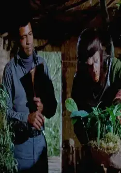 Битва за планету обезьян (1973) смотреть онлайн бесплатно Битва за планету обезьян (1973) фильм смотреть онлайн бесплатно