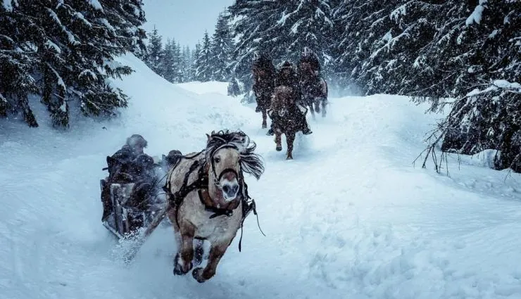 Биркебейнеры (2016) в хорошем качестве смотреть онлайн Биркебейнеры (2016) фильм в хорошем качестве смотреть онлайн