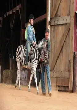 Бешеные скачки (2005) в хорошем качестве смотреть онлайн Бешеные скачки (2005) фильм в хорошем качестве смотреть онлайн