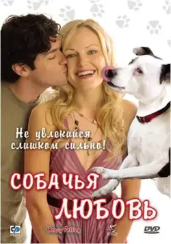 Собачья любовь / Heavy Petting (2007) фильм смотреть онлайн Собачья любовь / Heavy Petting (2007) фильм смотреть онлайн в хорошем качестве