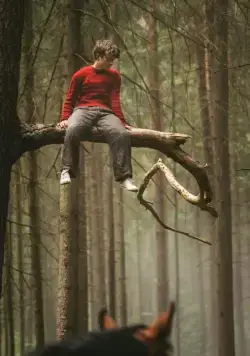 Угоняя лошадей (2019) смотреть онлайн бесплатно Угоняя лошадей (2019) фильм смотреть онлайн бесплатно