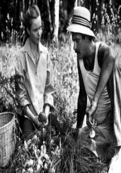 Портрет жены художника (1982) смотреть онлайн бесплатно Портрет жены художника (1982) фильм смотреть онлайн бесплатно