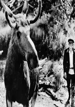 Тропой бескорыстной любви (1971) смотреть онлайн бесплатно Тропой бескорыстной любви (1971) фильм смотреть онлайн бесплатно