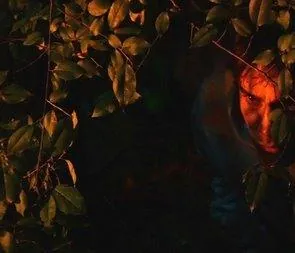 Ночь ведьм (2007) смотреть онлайн бесплатно Ночь ведьм (2007) фильм смотреть онлайн бесплатно