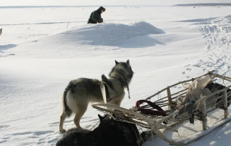 Счастливые люди: Год в тайге (2010) смотреть онлайн Счастливые люди: Год в тайге (2010) фильм смотреть онлайн