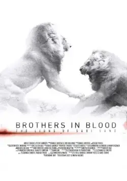 Прирожденные короли / Brothers in Blood: The Lions of Sabi Sand (2015) фильм смотреть онлайн в хорошем качестве