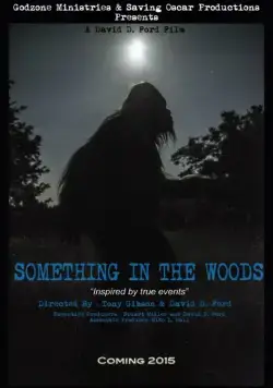 Нечто из леса / Something in the Woods (2016) фильм смотреть онлайн в хорошем качестве