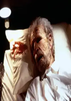 Дело о пеликанах (1993) смотреть онлайн Дело о пеликанах (1993) фильм смотреть онлайн