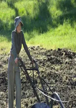 Завет любви (2004) смотреть онлайн Завет любви (2004) фильм смотреть онлайн