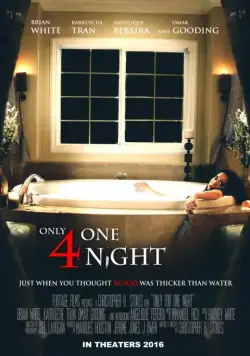 Только на одну ночь / Only for One Night (2016) фильм смотреть онлайн в хорошем качестве