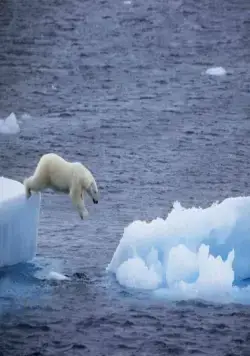 Земля (2007) смотреть онлайн бесплатно Земля (2007) фильм смотреть онлайн бесплатно