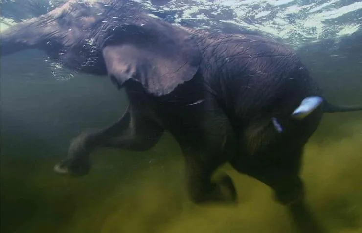 Земля (2007) в хорошем качестве смотреть онлайн Земля (2007) фильм в хорошем качестве смотреть онлайн