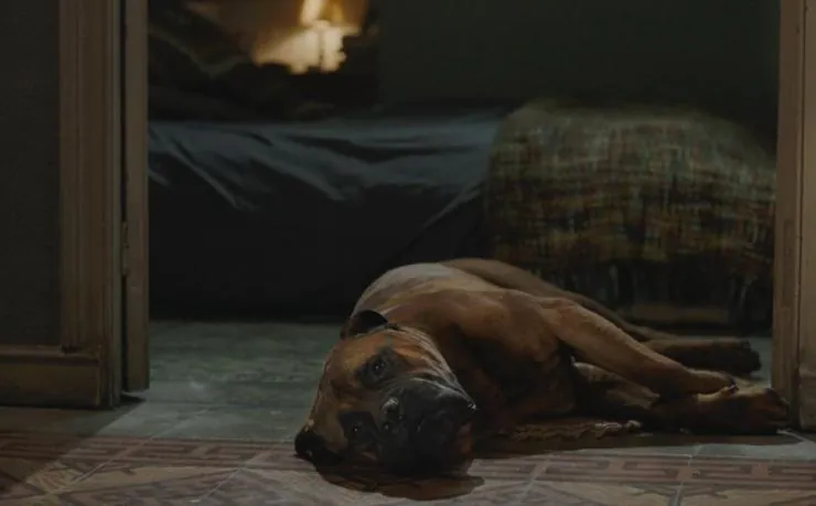 Трумэн (2015) смотреть онлайн Трумэн (2015) фильм смотреть онлайн