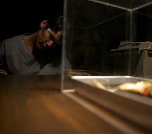 Институт Аттикус (2014) в хорошем качестве смотреть онлайн Институт Аттикус (2014) фильм в хорошем качестве смотреть онлайн