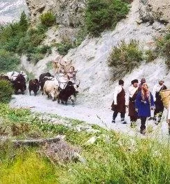 Ртуть (2006) смотреть онлайн Ртуть (2006) фильм смотреть онлайн