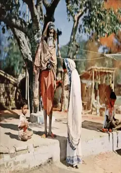 Река (1951) смотреть онлайн Река (1951) фильм смотреть онлайн