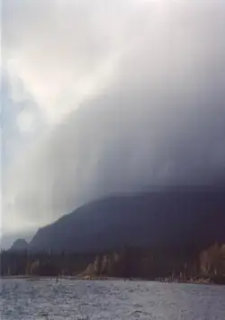 Кукушка (2002) в хорошем качестве смотреть онлайн Кукушка (2002) фильм в хорошем качестве смотреть онлайн