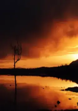 Кукушка (2002) смотреть онлайн бесплатно Кукушка (2002) фильм смотреть онлайн бесплатно