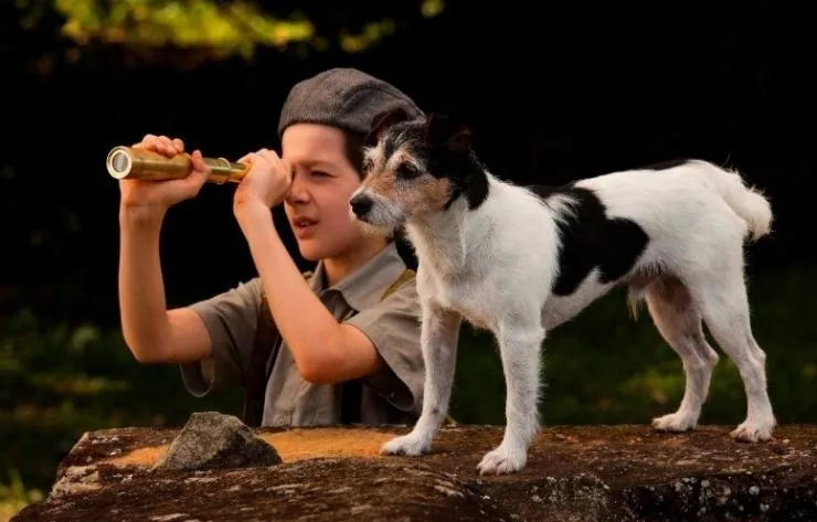 Мальчик в зеркале (2014) смотреть онлайн Мальчик в зеркале (2014) фильм смотреть онлайн