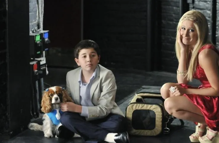 Шикарное приключение Шарпей (2011) смотреть онлайн бесплатно Шикарное приключение Шарпей (2011) фильм смотреть онлайн бесплатно