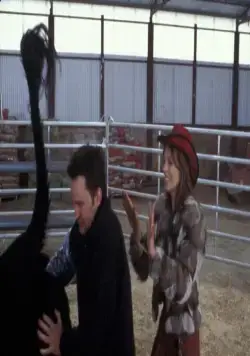 Мошенники (2002) смотреть онлайн бесплатно Мошенники (2002) фильм смотреть онлайн бесплатно