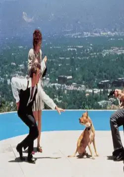 Два дня в долине (1996) смотреть онлайн бесплатно Два дня в долине (1996) фильм смотреть онлайн бесплатно