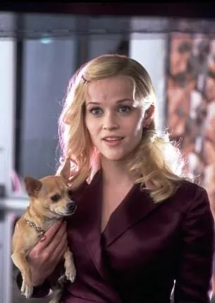 Блондинка в законе 2: Красное, белое и блондинка (2003) смотреть онлайн Блондинка в законе 2: Красное, белое и блондинка (2003) фильм смотреть онлайн