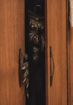 Лепрекон возвращается (2018) смотреть онлайн Лепрекон возвращается (2018) фильм смотреть онлайн