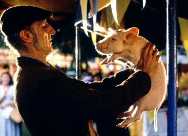 Бэйб: Четвероногий малыш (1995) в хорошем качестве смотреть онлайн Бэйб: Четвероногий малыш (1995) фильм в хорошем качестве смотреть онлайн