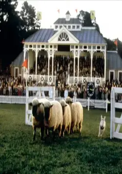 Бэйб: Четвероногий малыш (1995) смотреть онлайн бесплатно Бэйб: Четвероногий малыш (1995) фильм смотреть онлайн бесплатно