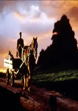 Бэйб: Четвероногий малыш (1995) смотреть онлайн Бэйб: Четвероногий малыш (1995) фильм смотреть онлайн