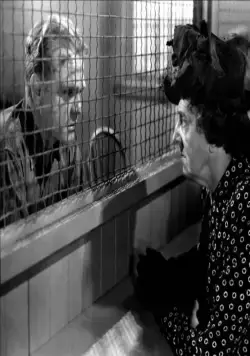 Белая горячка (1949) в хорошем качестве смотреть онлайн Белая горячка (1949) фильм в хорошем качестве смотреть онлайн