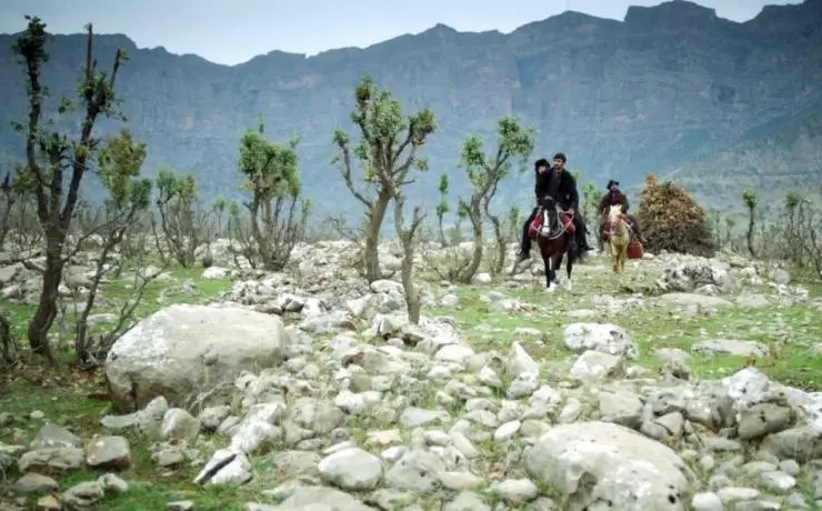 Мой милый Пепперленд (2013) смотреть онлайн Мой милый Пепперленд (2013) фильм смотреть онлайн