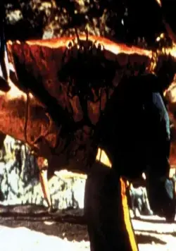 Остров приключений (1961) в хорошем качестве смотреть онлайн Остров приключений (1961) фильм в хорошем качестве смотреть онлайн