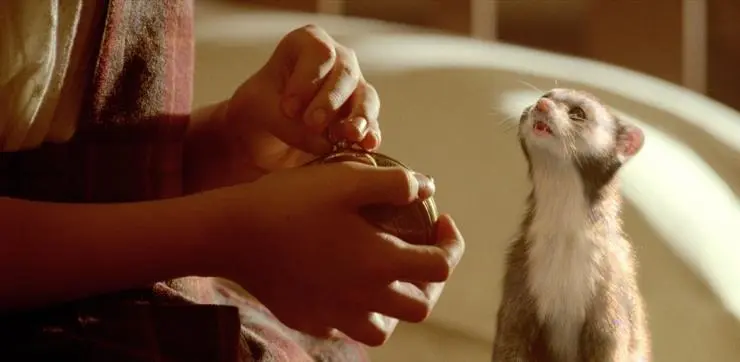 Золотой компас (2007) в хорошем качестве смотреть онлайн Золотой компас (2007) фильм в хорошем качестве смотреть онлайн