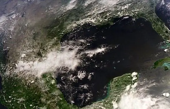 BBC: Жизнь (2009) 1 сезон 1-8,9,10 серия смотреть онлайн BBC: Жизнь (2009) сериал 1-8,9,10 серию 1 сезона смотреть онлайн