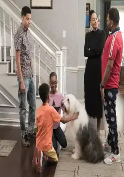 Черная комедия (2014) 1-7 сезон 1-19,20,21 серия смотреть онлайн Черная комедия (2014) сериал 1-19,20,21 серию 1-7 сезона смотреть онлайн