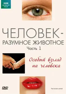 BBC: Человек – разумное животное / The Human Animal (1994) cериал смотреть онлайн BBC: Человек – разумное животное / The Human Animal (1994) cериал смотреть онлайн в хорошем качестве