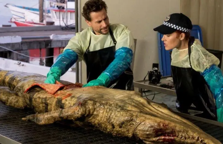 Доктор Хэрроу (2018) смотреть онлайн бесплатно Доктор Хэрроу (2018) сериал смотреть онлайн бесплатно