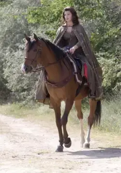 Робин Гуд (2006) в хорошем качестве смотреть онлайн Робин Гуд (2006) сериал в хорошем качестве смотреть онлайн