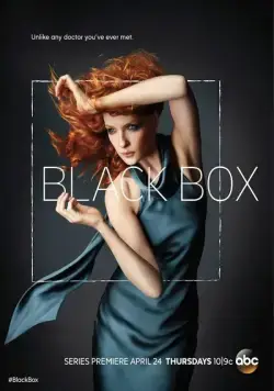Чёрный ящик / Black Box (2014) cериал смотреть онлайн Чёрный ящик / Black Box (2014) cериал смотреть онлайн в хорошем качестве