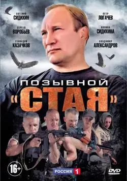 Позывной «Стая» (2013) cериал смотреть онлайн Позывной «Стая» (2013) cериал смотреть онлайн в хорошем качестве