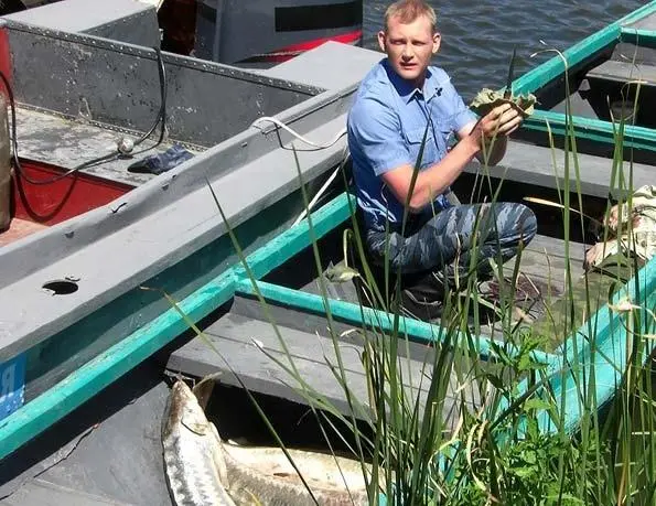 Хозяйка тайги (2009) 1-2 сезон 1-22,23,24 серия в хорошем качестве смотреть онлайн Хозяйка тайги (2009) сериал 1-22,23,24 серию 1-2 сезона в хорошем качестве смотреть онлайн