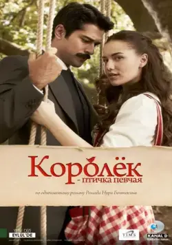 Королёк – птичка певчая / Çalikusu (2013) cериал смотреть онлайн Королёк – птичка певчая / Çalikusu (2013) cериал смотреть онлайн в хорошем качестве