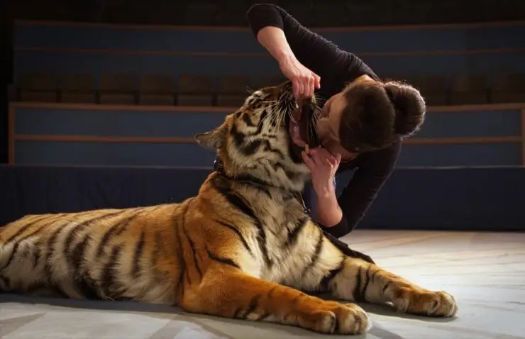 Маргарита Назарова (2016) 1 сезон 1-14,15,16 серия смотреть онлайн Маргарита Назарова (2016) сериал 1-14,15,16 серию 1 сезона смотреть онлайн