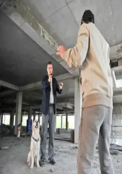 Собачья работа (2012) 1 сезон 1-6,7,8 серия смотреть онлайн бесплатно Собачья работа (2012) сериал 1-6,7,8 серию 1 сезона смотреть онлайн бесплатно