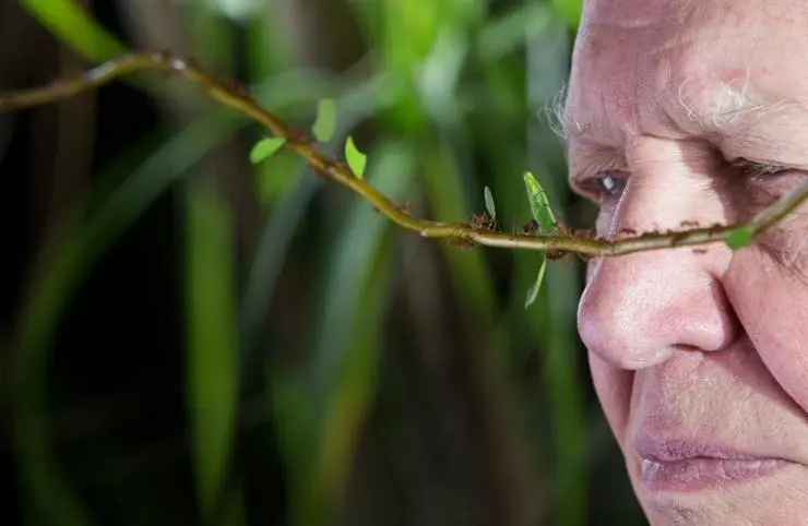 Микромонстры 3D с Дэвидом Аттенборо (2013) смотреть онлайн Микромонстры 3D с Дэвидом Аттенборо (2013) сериал смотреть онлайн